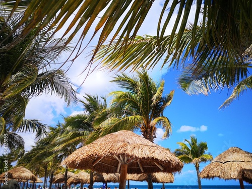 Travel, fly, happy, amazing, nature, photo, style, travel, follow, photographer, beauty, photoshoot, vacation, portrait, lifestyle, travelphotography