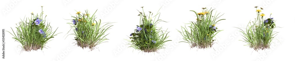 Set of grass mixed with wild flowers. 3D image