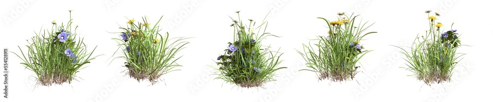Fototapeta premium Set of grass mixed with wild flowers. 3D image
