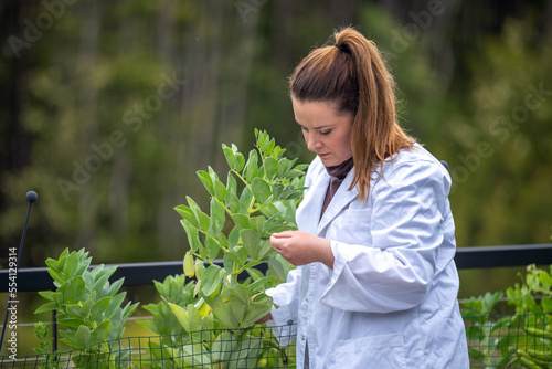 woman scientist taking soil samples and plant samples from a field