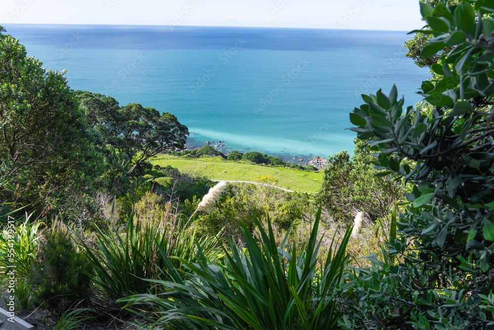 View down northern slope Mount Maunganui to rocky edge and blue ocean