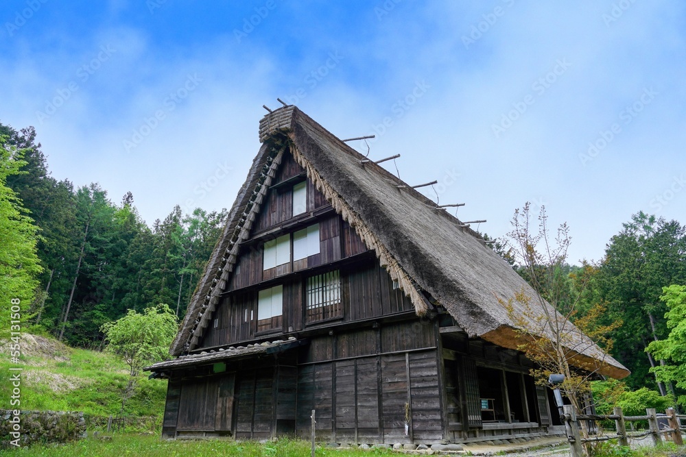 新緑に囲まれた茅葺屋根の合掌造りの情景＠岐阜