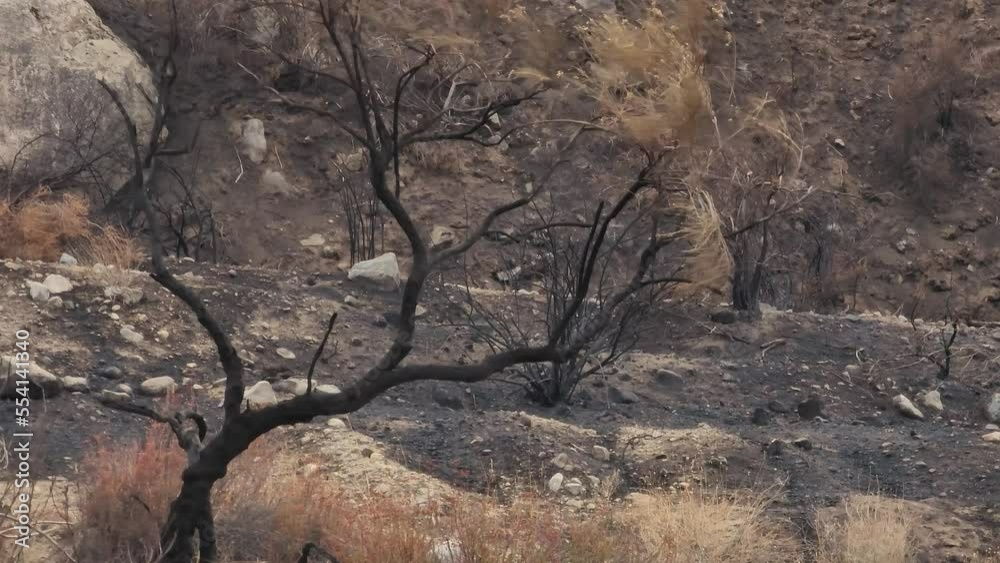 Fairview Fire aftermath mountain landscape in Hemet, California, USA, September 2022 Fairview Fire aftermath mountain landscape in Hemet, California, USA, September 2022