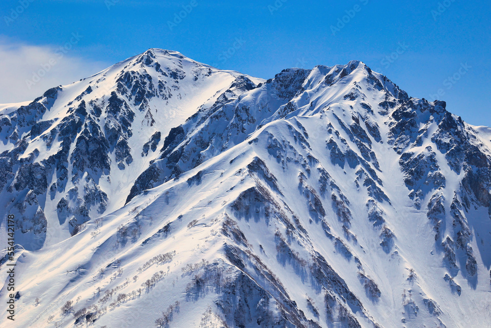 冠雪の白馬鑓ヶ岳と杓子岳