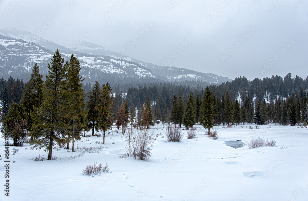 snowing landscape of snow covered mountains, forest and small pond, with fog over sky