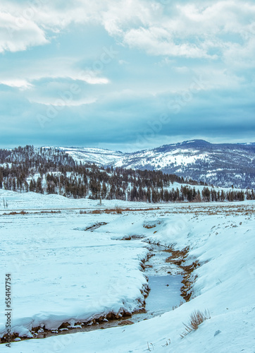 winter landscape in the snowy mountains and stream flowing with snow covered plain along the side under cloudy sky