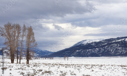 vast view of snow covered mountains and prairie with cloudy sky and trees at the front