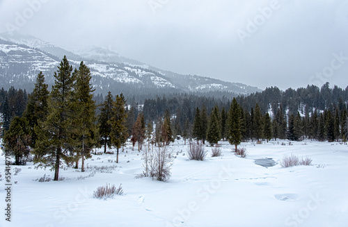 snowing landscape of snow covered mountains, forest and small pond, with fog over sky