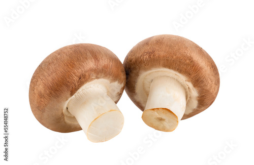 Fresh champignon mushrooms isolated on transparent png