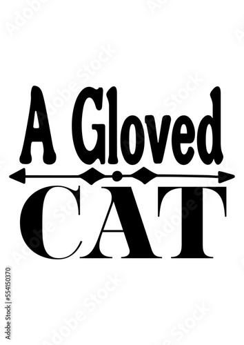  A gloved cat