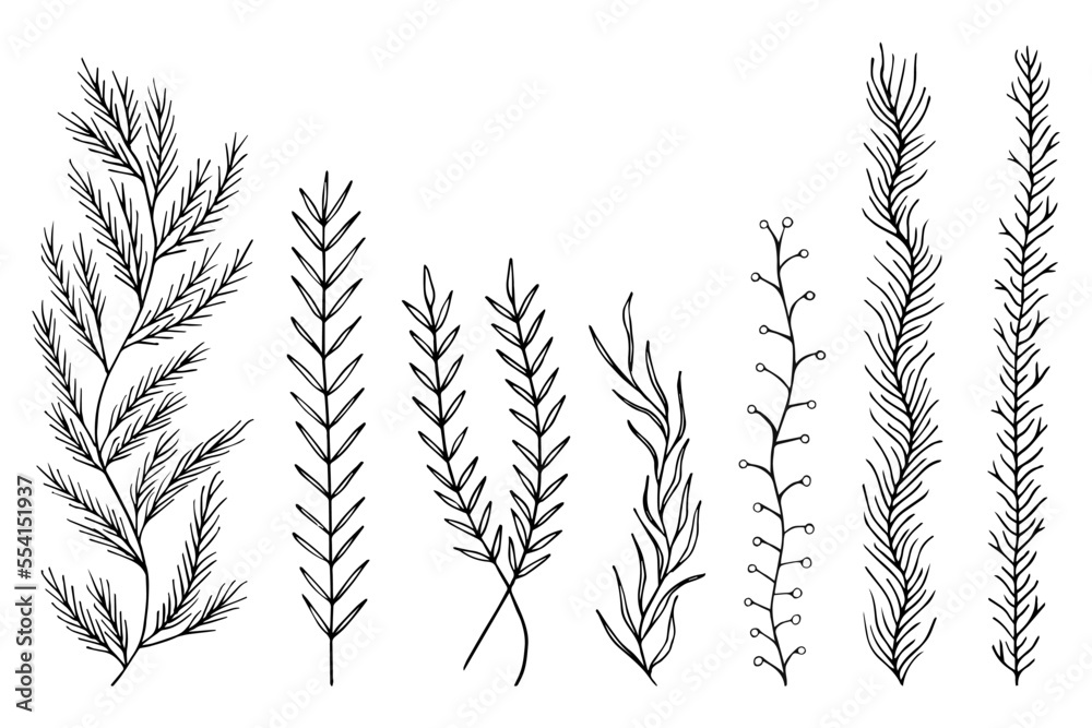 Leafs plants hand drawn vector. Drawing beautiful creeper leaf, decorative set Leafs plants hand drawn vector. Drawing beautiful creeper leaf, decorative set