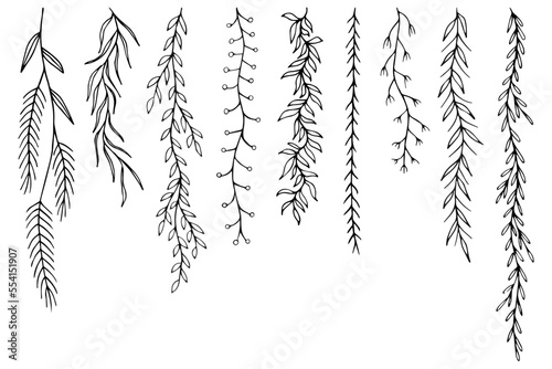Leafs plants hand drawn vector. Drawing beautiful creeper leaf, decorative set