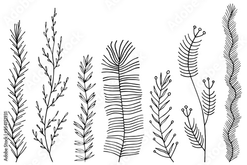 Leafs plants hand drawn vector. Drawing beautiful creeper leaf, decorative set