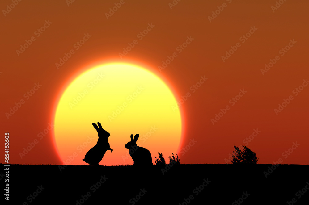 日の出とウサギ