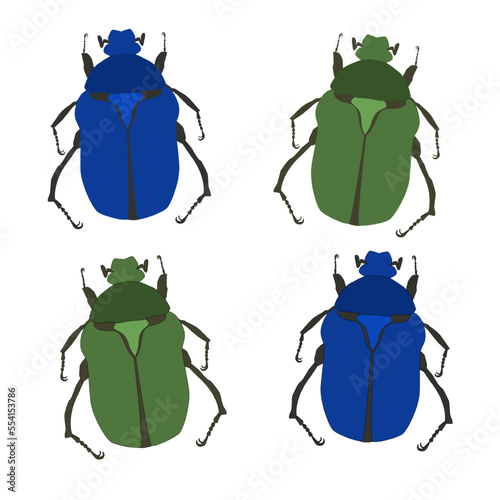Vector green blue beetle for collection on white background
