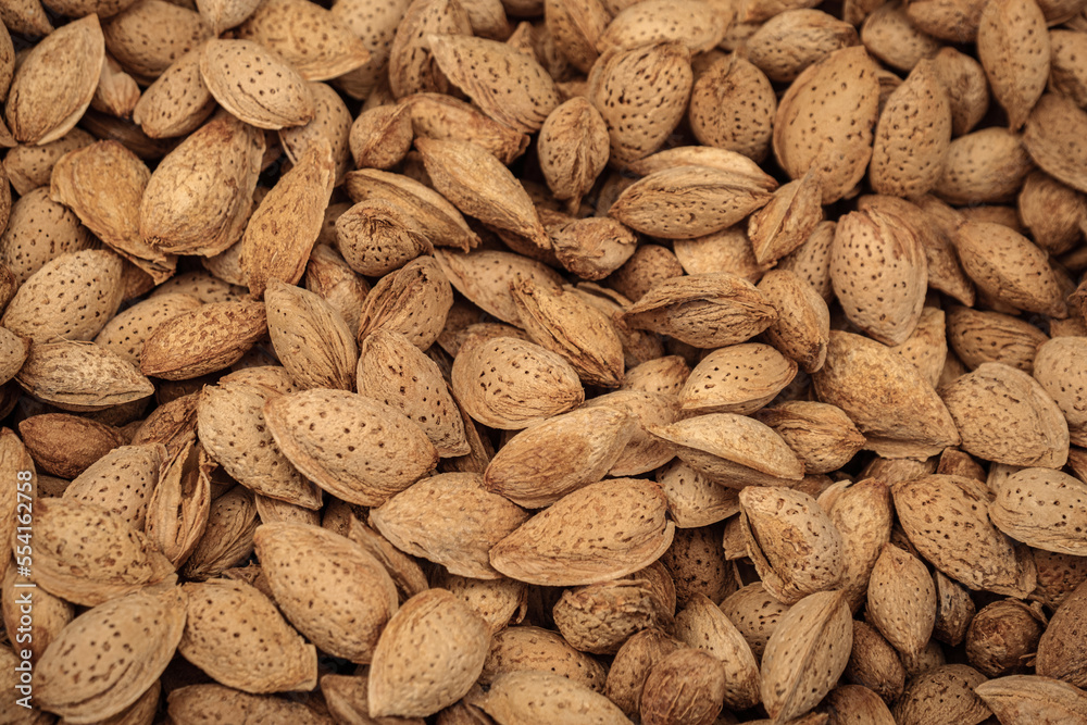 Heap of natural organic almonds with hard shell,