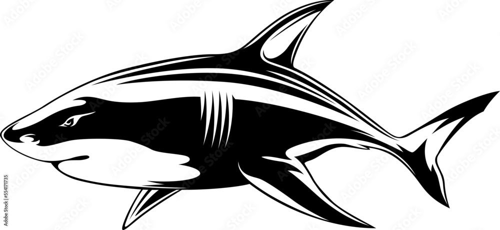 Illustration of Great White Shark Illustration of Great White Shark