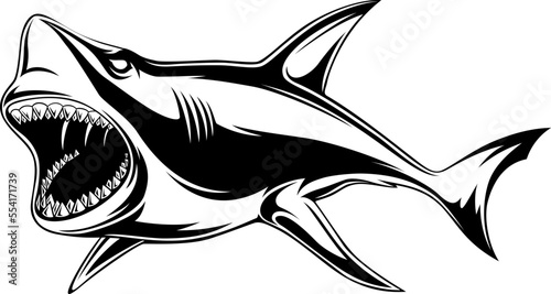 Aggressive Shark Opening Its Mouth Wide