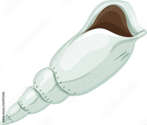ocean sea shell cartoon. ocean sea shell sign. isolated symbol vector illustration