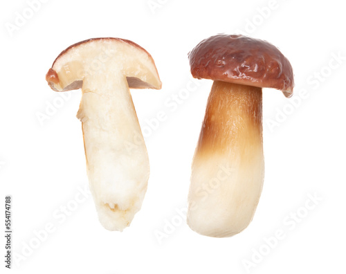 Fresh boletus mushroom isolated on white background