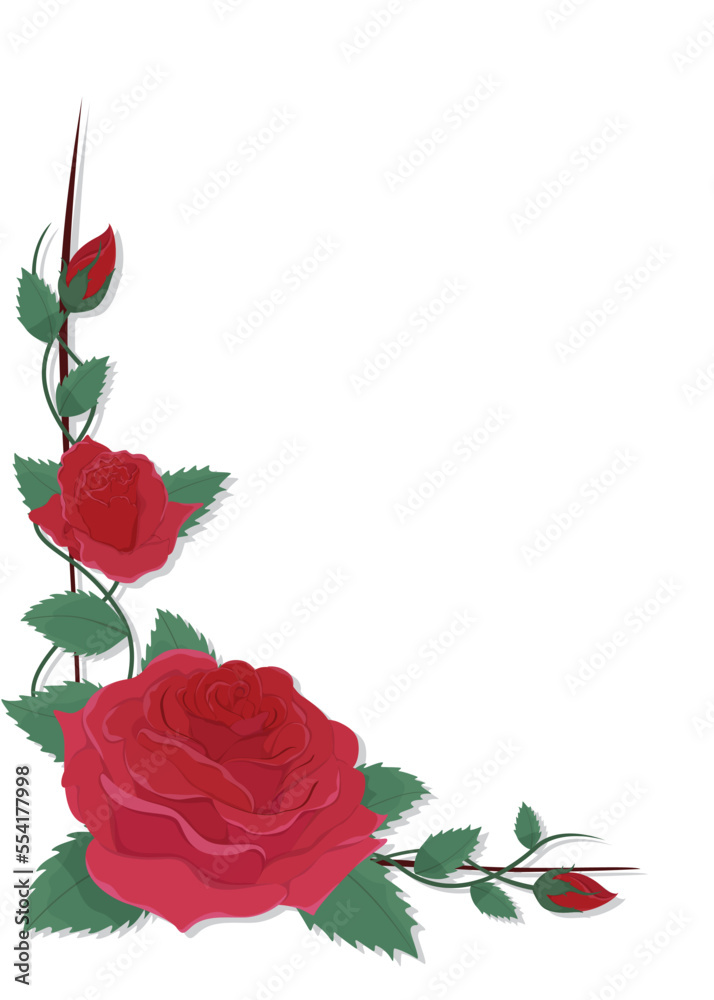 Flower invitation card template design vector with red Rose, Rose floral and leaves, decorative vertical rectangle frame.Greeting card for birthday, wedding, congratulation concepts.
