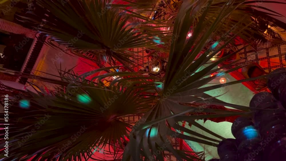 custom made wallpaper toronto digitalVERTICAL dots coloured light moving across palm tree leaves with atmospheric party mood lighting