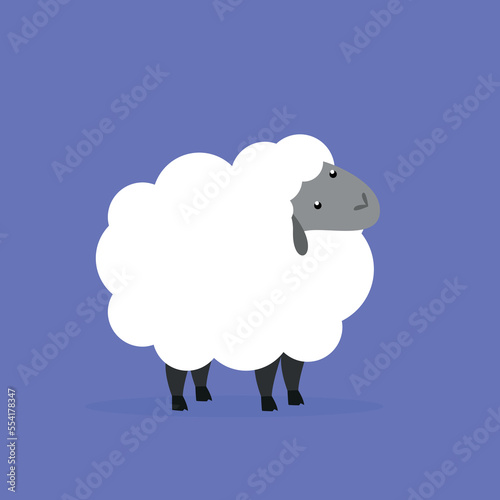 A little sheep with curly hair turned its head