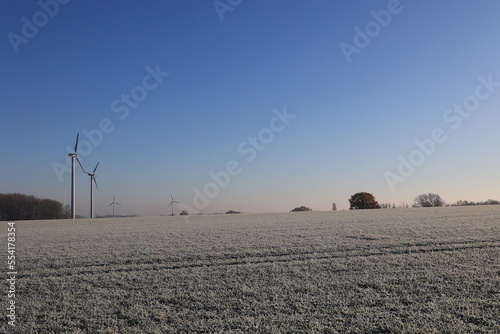 Schöne Winterlandschaft bei Beckum im Münsterland photo