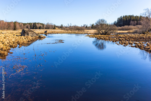 Flooded meadow by a river at spring