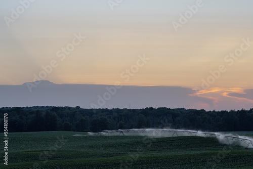 Corn field watering in sunset