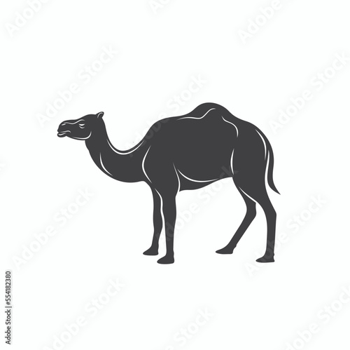illustration of camel, desert animal, vector art.