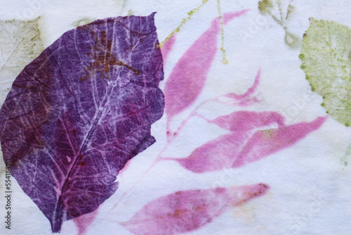 Texture pattern of pink, violet and green leaf from eco print process. Colorful Eco-printing on white fabric background. 