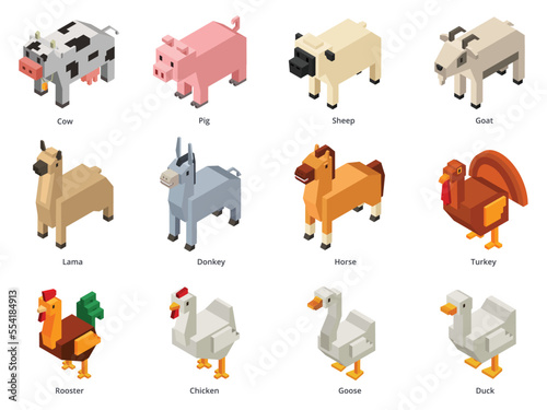 Isometric farm animals. Low poly cow, pig and sheep. Polygonal goat, voxel domestic birds and horse 3D cartoon vector set