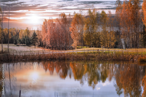 Autumn trees with yellow leaves are reflected in a lake. High quality photo