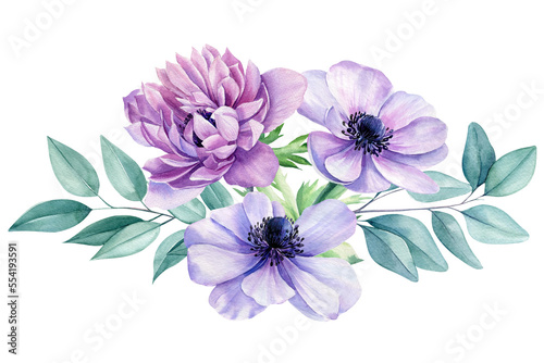 Beautiful delicate flowers. Watercolor illustrations of anemone flowers  eucalyptus leaves. Floral design