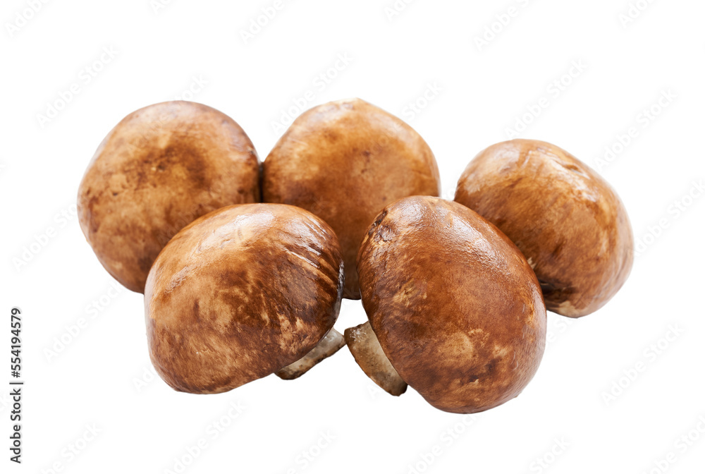 brown champignon button mushroom isolated on white background. pile of brown champignon button mushroom. group of brown champignon button mushroom isolated