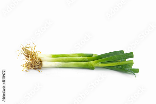 fresh spring onion on a white,isolated