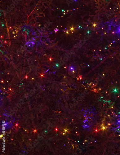 Background image of festive Christmas lights.