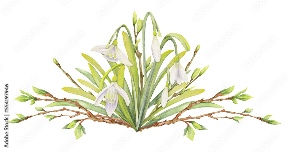 Watercolor hand drawn composition with spring flowers, snowdrops, leaves and stems, bow, gift tag. Isolated on white background. For invitations, wedding, greeting cards, wallpaper, print, textile.