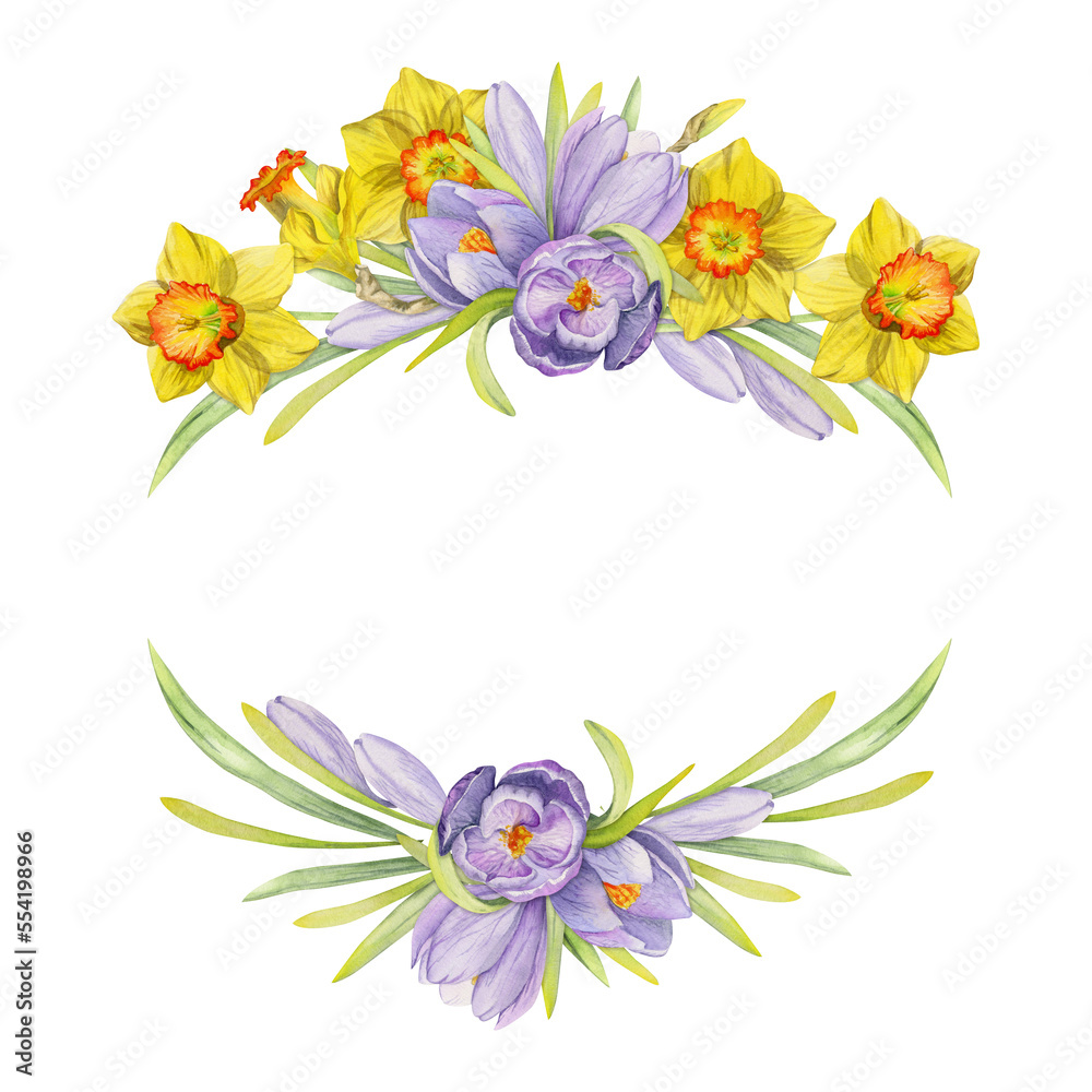 Watercolor hand drawn composition with spring flowers, crocus, snowdrops, daffodils, bow, gift tag. Isolated on white background. For invitations, wedding, greeting cards, wallpaper, print, textile.