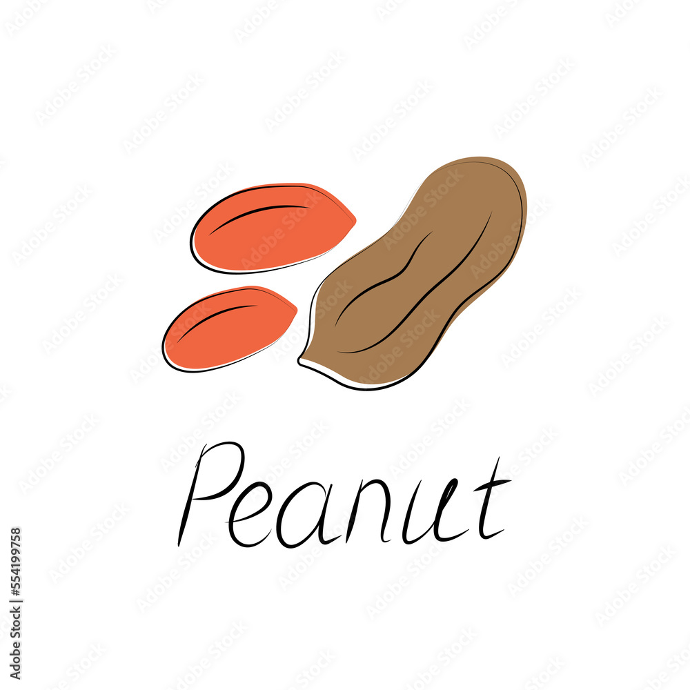 Peanuts in cartoon style. Nut icon for template label, packaging snackand emblem. Vector Peanuts in cartoon style. Nut icon for template label, packaging snackand emblem. Vector