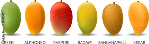 Mango fruits variety