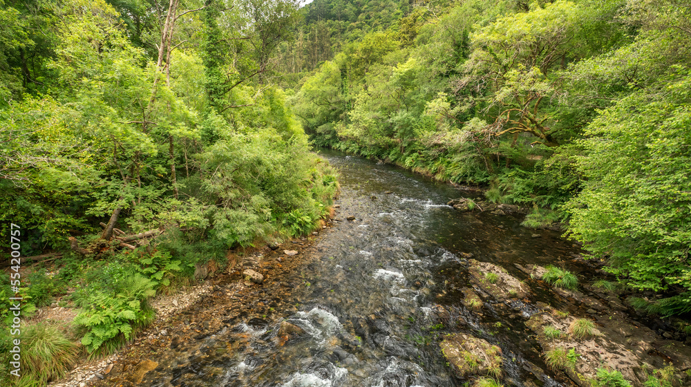 Fragas do Eume Natural Park, Pontedeume, La Coruña, Galicia, Spain, Europe