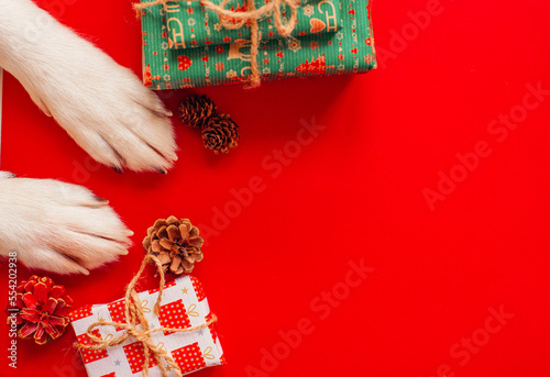 christmas background with cute dog paws - presents and decor on red copy space. 