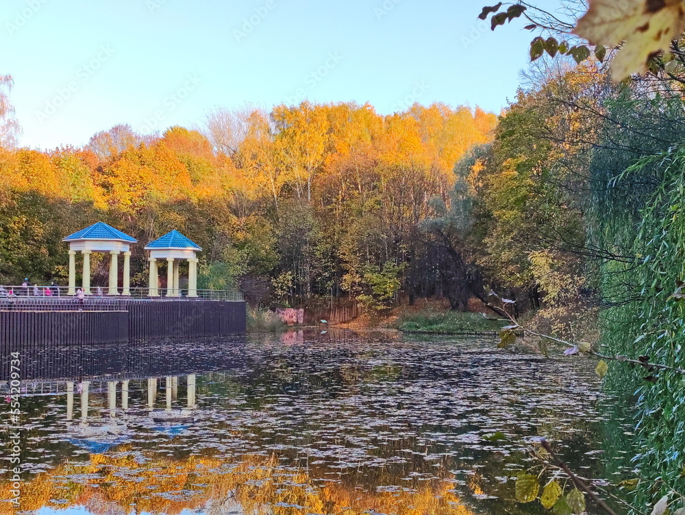 Obraz premium Golden autumn in the summer park