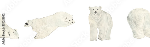Polar bear border. Watercolor border isolated on white background. Cute wild bear border. Picture. Image