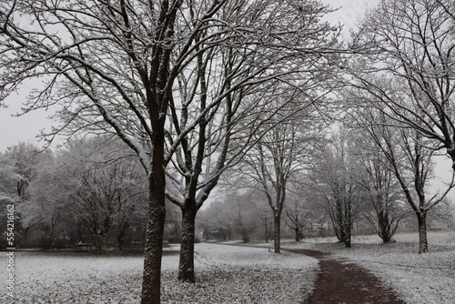 the tree coverd by snow in munich