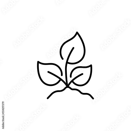 Plant line icon. Soil, earth, botany, eco, ecology, flora, ecosystem, plants, leaves, drugs, biology. nature concept. Vector black line icon on white background