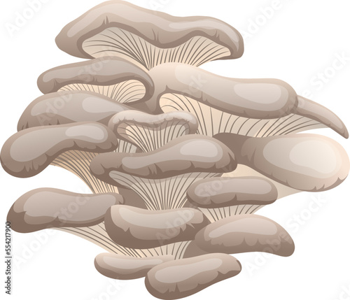 pleurotus mushroom cartoon vector. autumn group, vegeterian organic food pleurotus mushroom. isolated color illustration