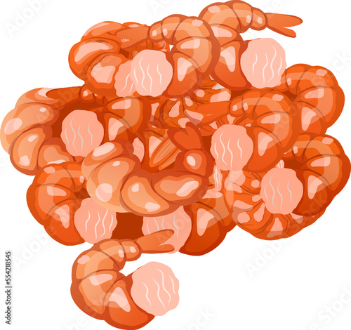 shrimp peeled cartoon. prawn raw, cooked meat, fresh pink king tiger fish shrimp peeled vector illustration